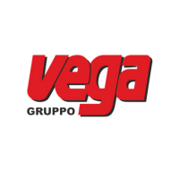Gruppo Vega