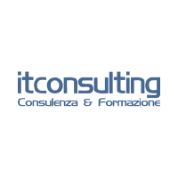 IT Consulting