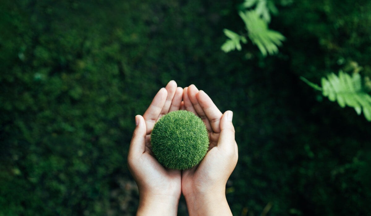 Come lavorare con la green economy