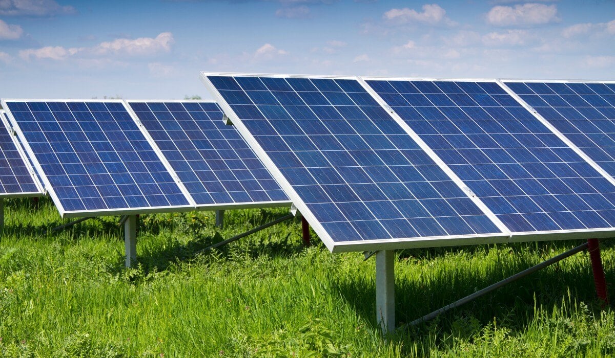 Perché la green economy è importante?